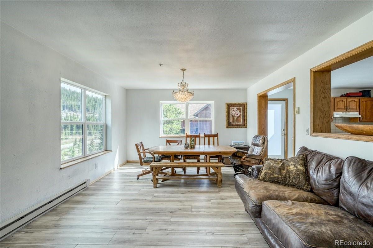 MLS Image #1 for 234  carroll lane,breckenridge, Colorado
