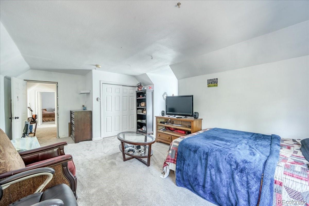 MLS Image #17 for 234  carroll lane,breckenridge, Colorado