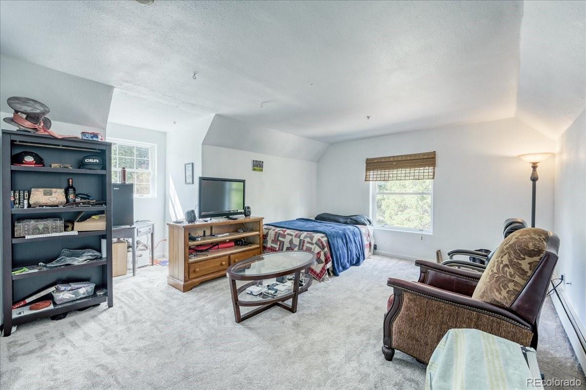 MLS Image #18 for 234  carroll lane,breckenridge, Colorado