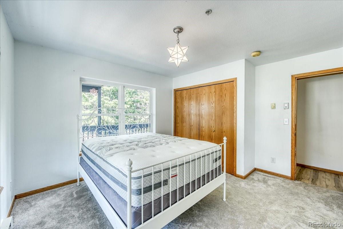 MLS Image #21 for 234  carroll lane,breckenridge, Colorado