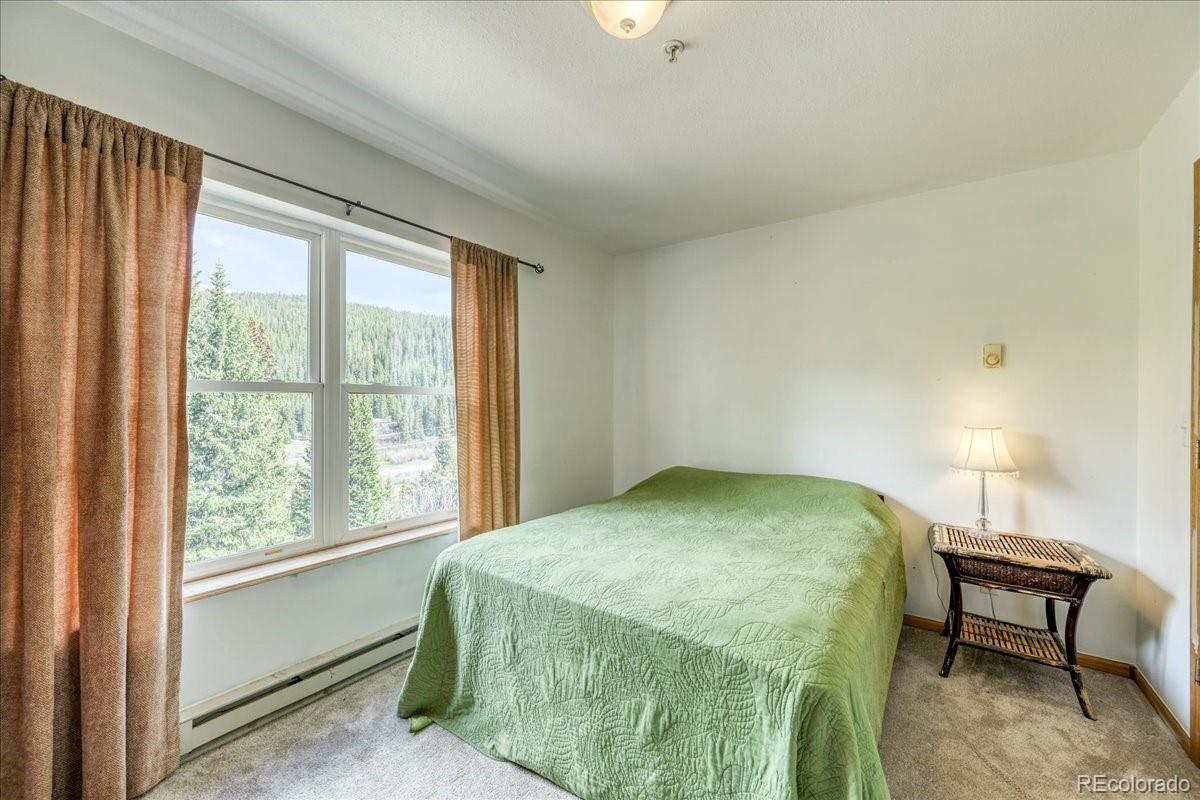 MLS Image #26 for 234  carroll lane,breckenridge, Colorado