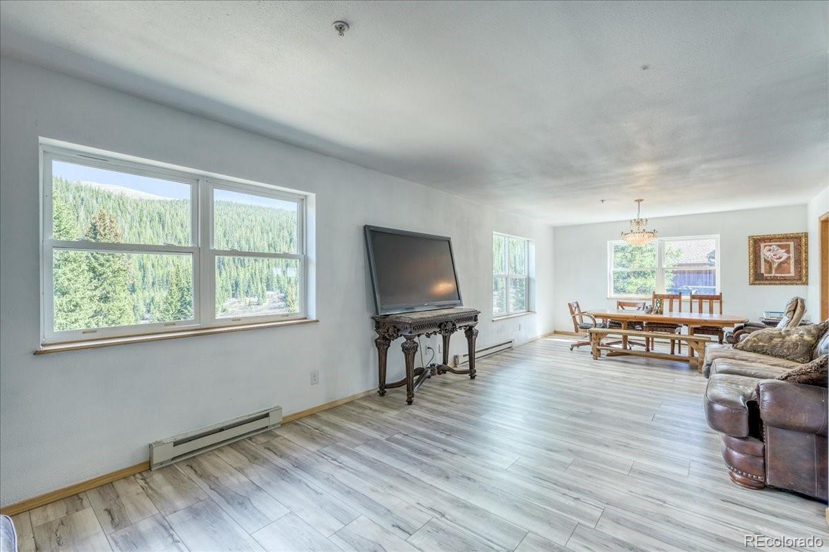 MLS Image #5 for 234  carroll lane,breckenridge, Colorado