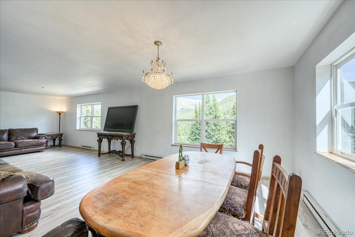 MLS Image #6 for 234  carroll lane,breckenridge, Colorado