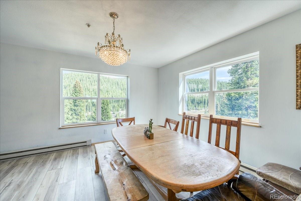 MLS Image #7 for 234  carroll lane,breckenridge, Colorado