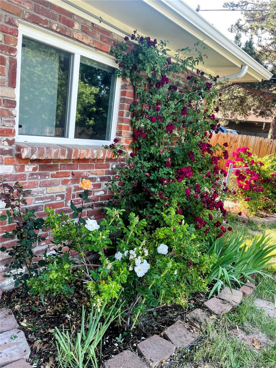 MLS Image #33 for 984 s braun drive,lakewood, Colorado