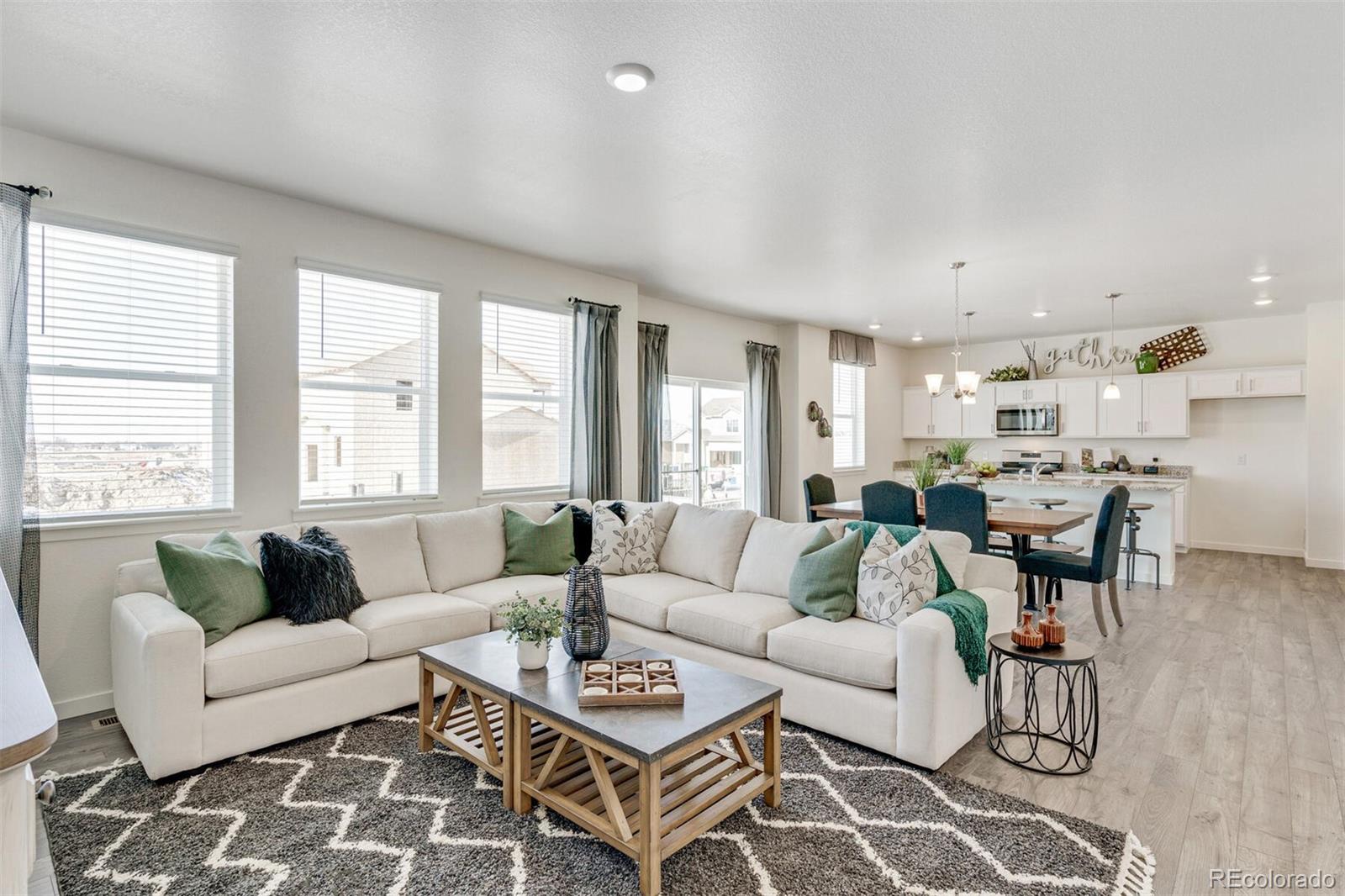MLS Image #4 for 779 n deer park street,watkins, Colorado