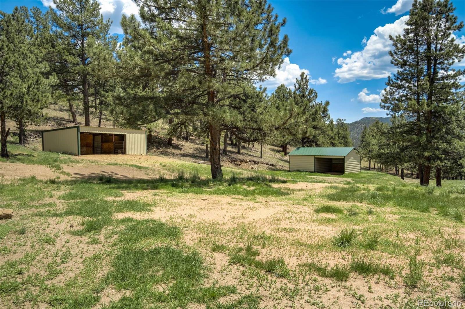 MLS Image #44 for 70  elk circle,guffey, Colorado