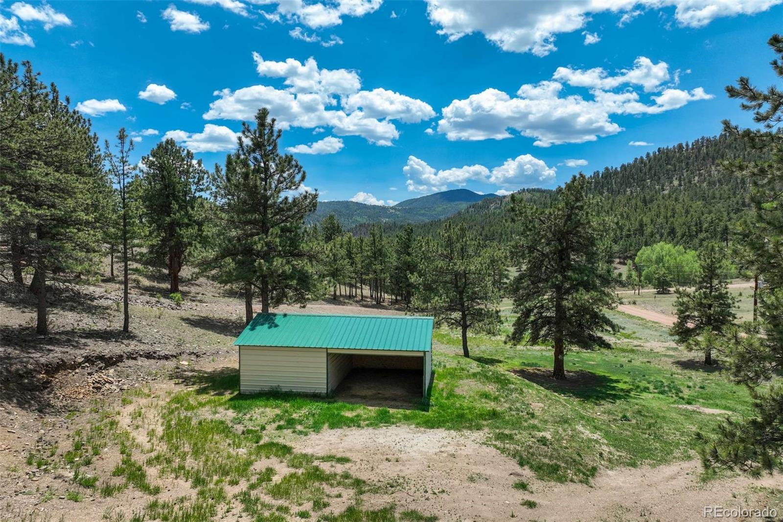 MLS Image #45 for 70  elk circle,guffey, Colorado