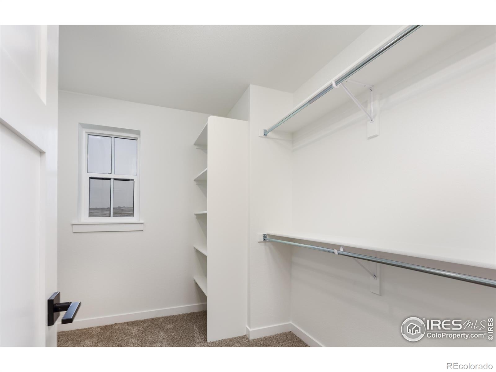 MLS Image #12 for 1571  poplar drive,erie, Colorado