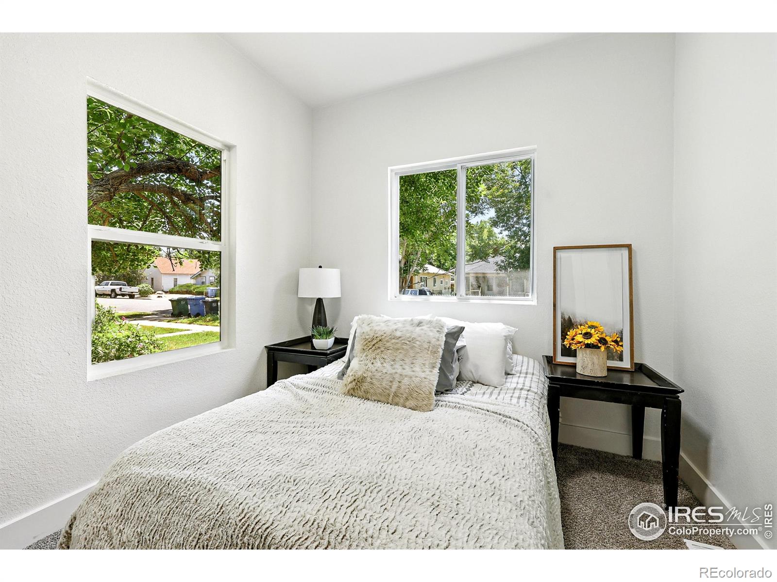 MLS Image #19 for 717 e 8th street,loveland, Colorado