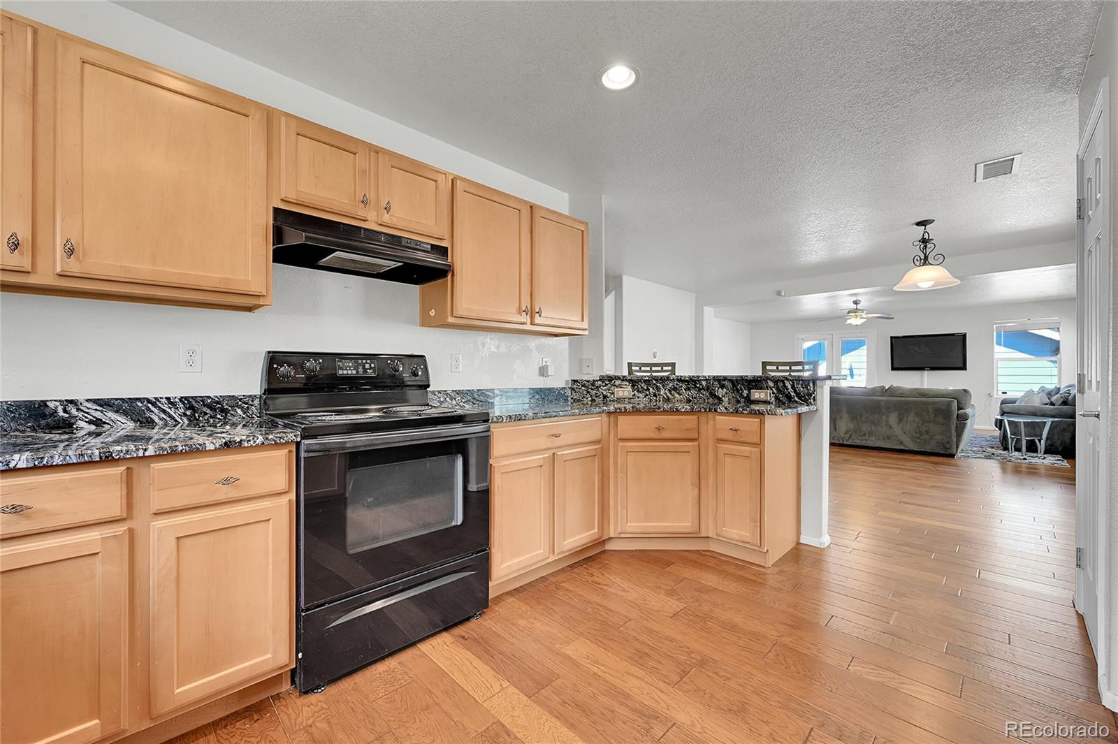 MLS Image #12 for 18947 e 57th place ,denver, Colorado