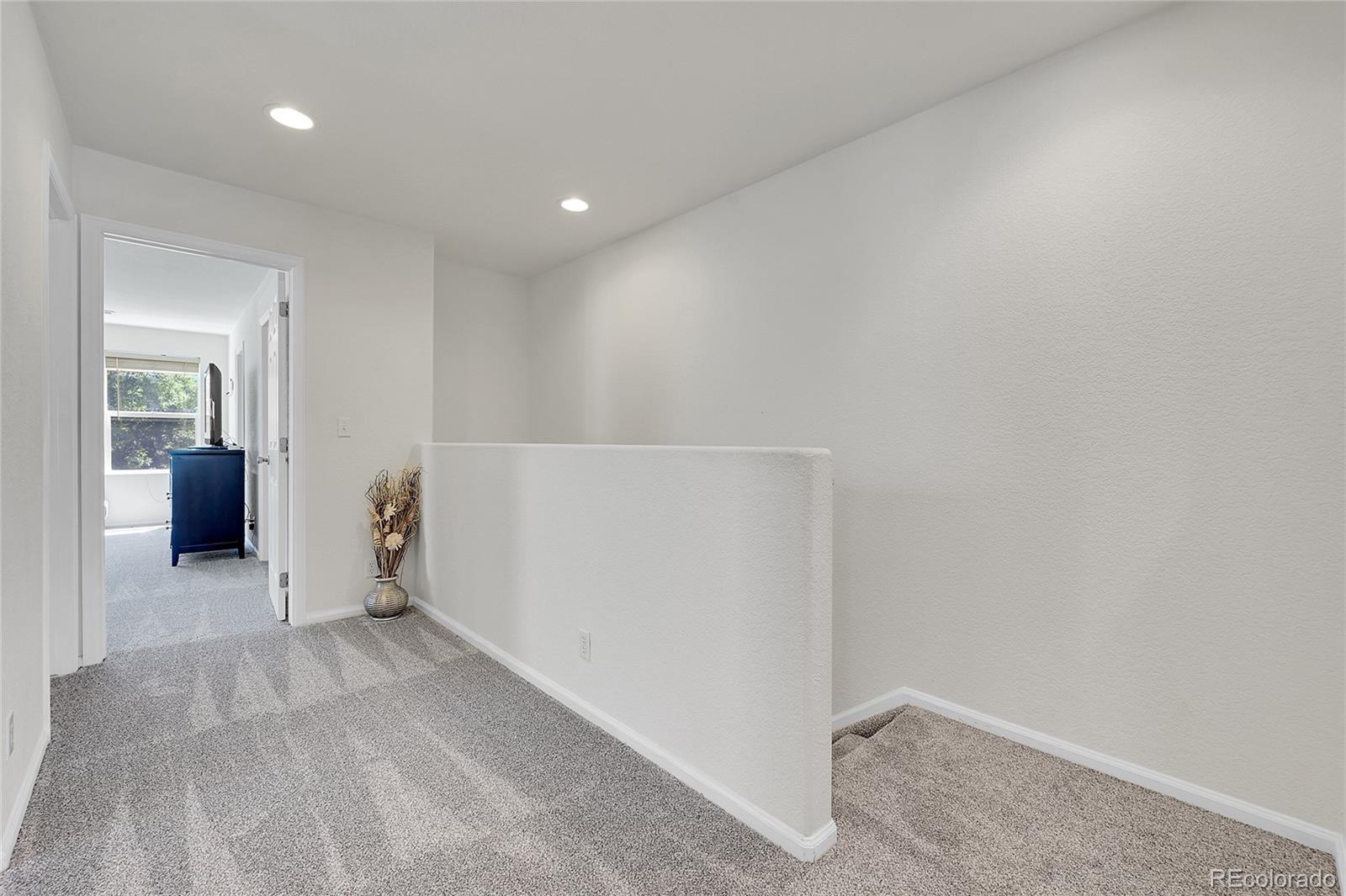 MLS Image #14 for 18947 e 57th place ,denver, Colorado