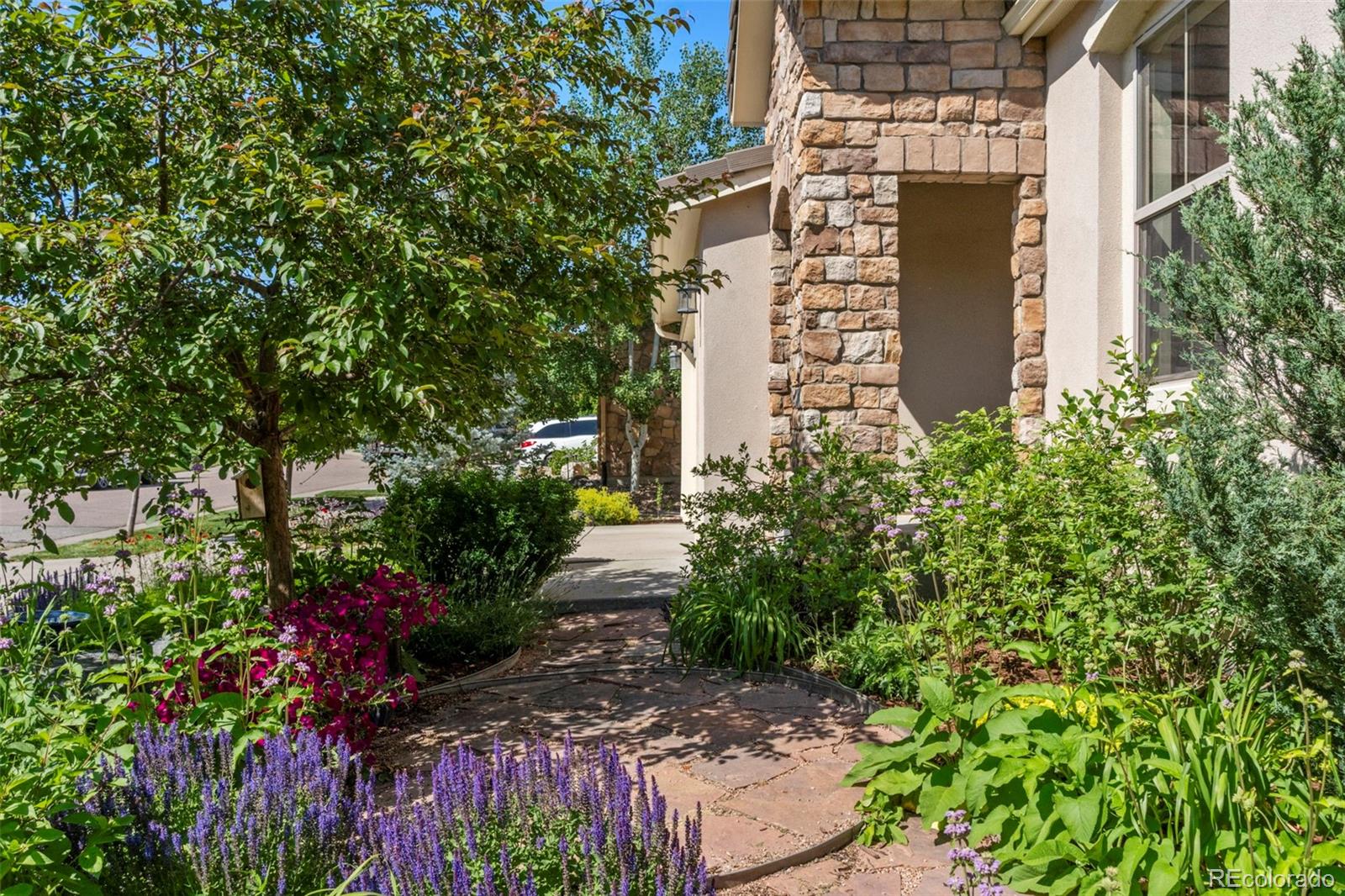 MLS Image #2 for 2276 s norse street,lakewood, Colorado