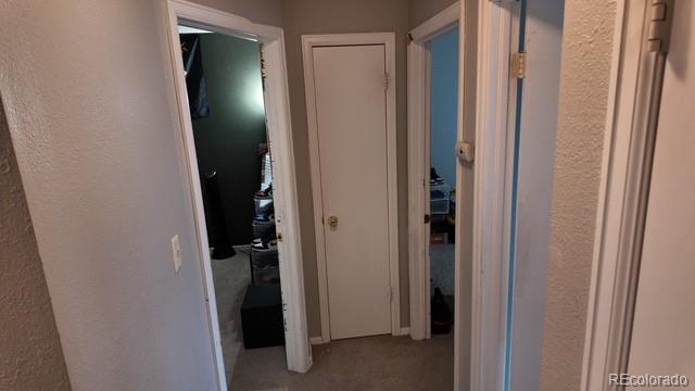 MLS Image #14 for 2742  dickens drive,colorado springs, Colorado