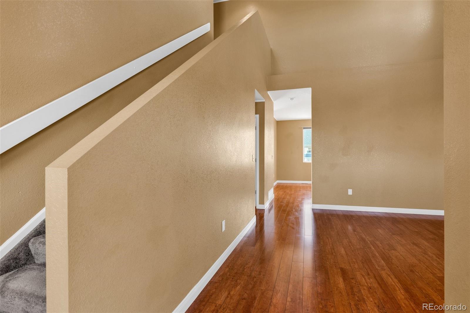 MLS Image #5 for 8333  hames drive,colorado springs, Colorado