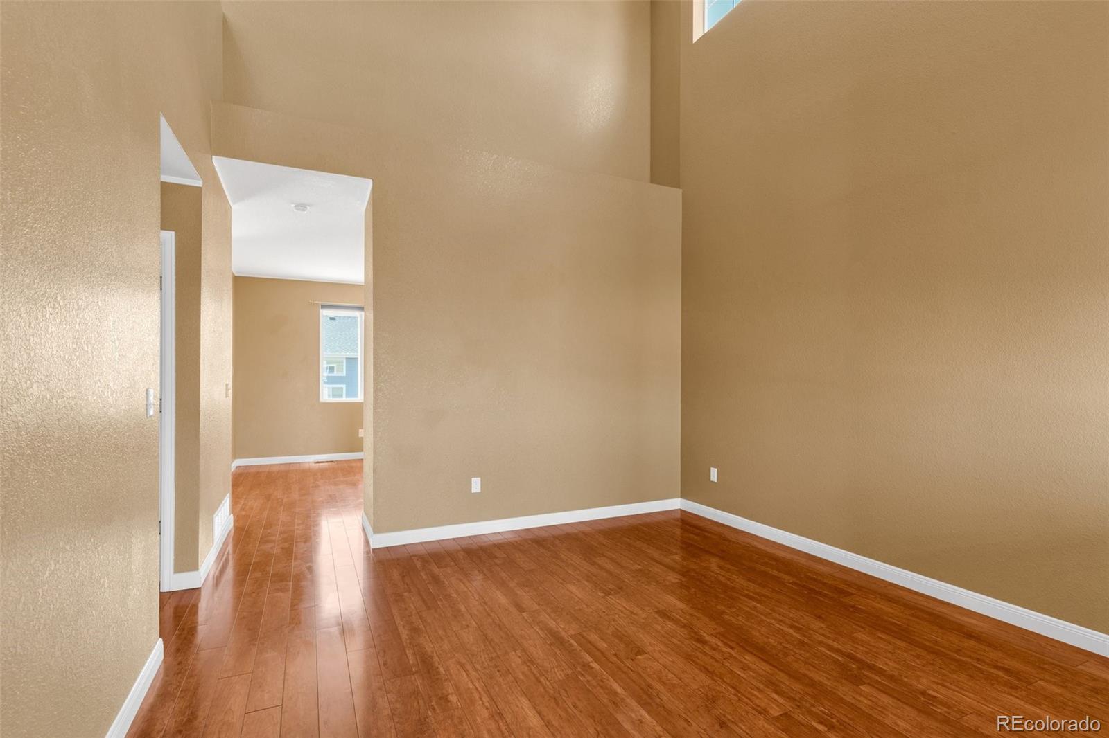 MLS Image #6 for 8333  hames drive,colorado springs, Colorado