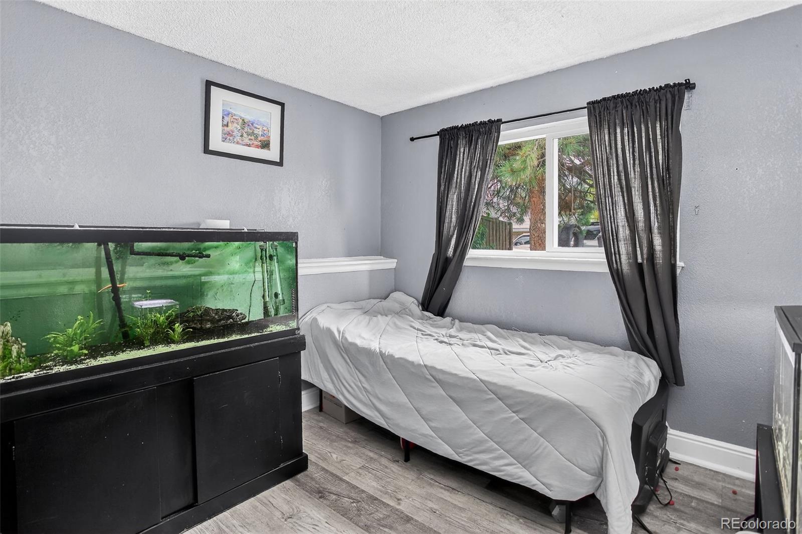 MLS Image #23 for 1102  conifer court,highlands ranch, Colorado