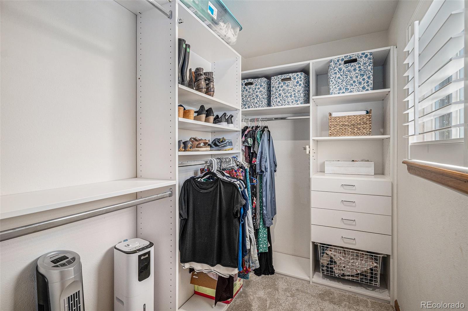 MLS Image #17 for 9640  moss rose circle,highlands ranch, Colorado