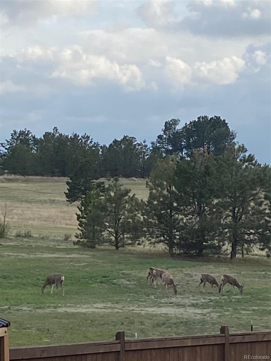 MLS Image #45 for 640  avena drive,elizabeth, Colorado