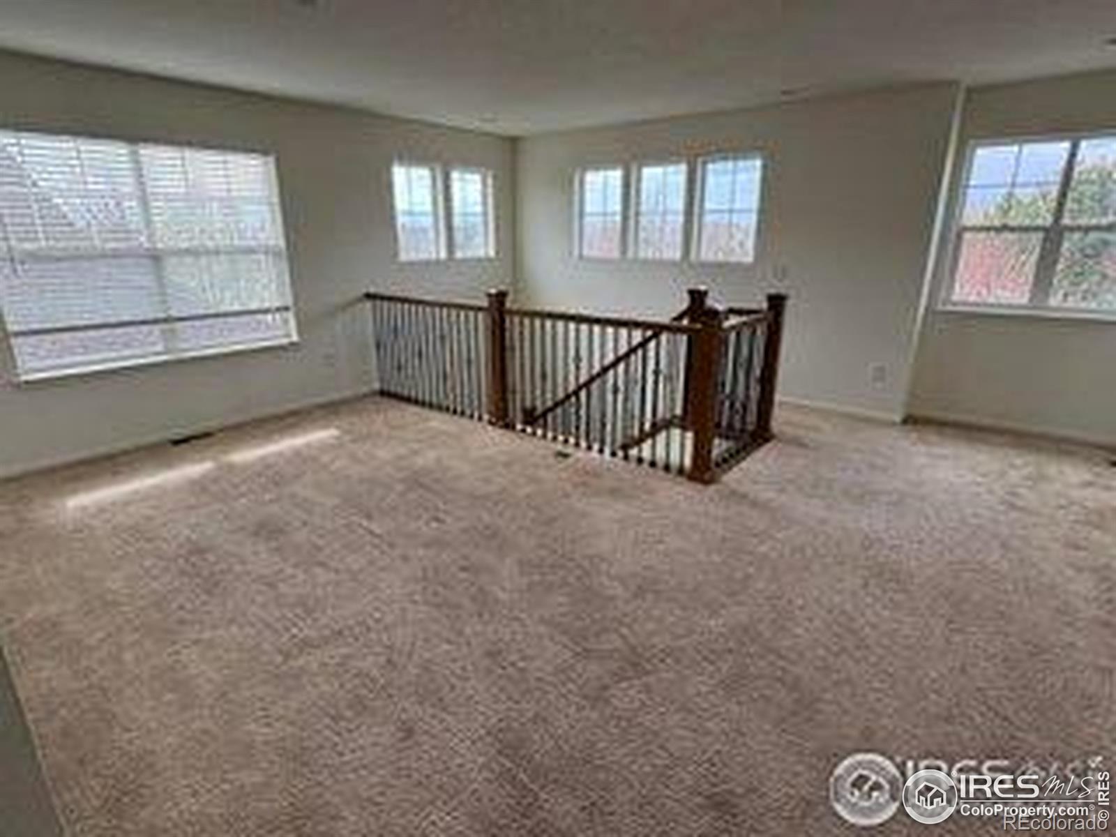 MLS Image #18 for 1435  rustic drive,longmont, Colorado