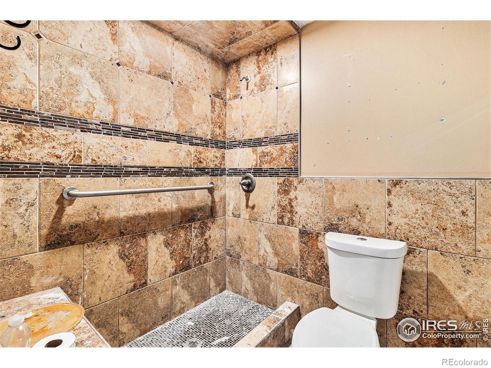 MLS Image #10 for 8451  peak to peak highway,allenspark, Colorado