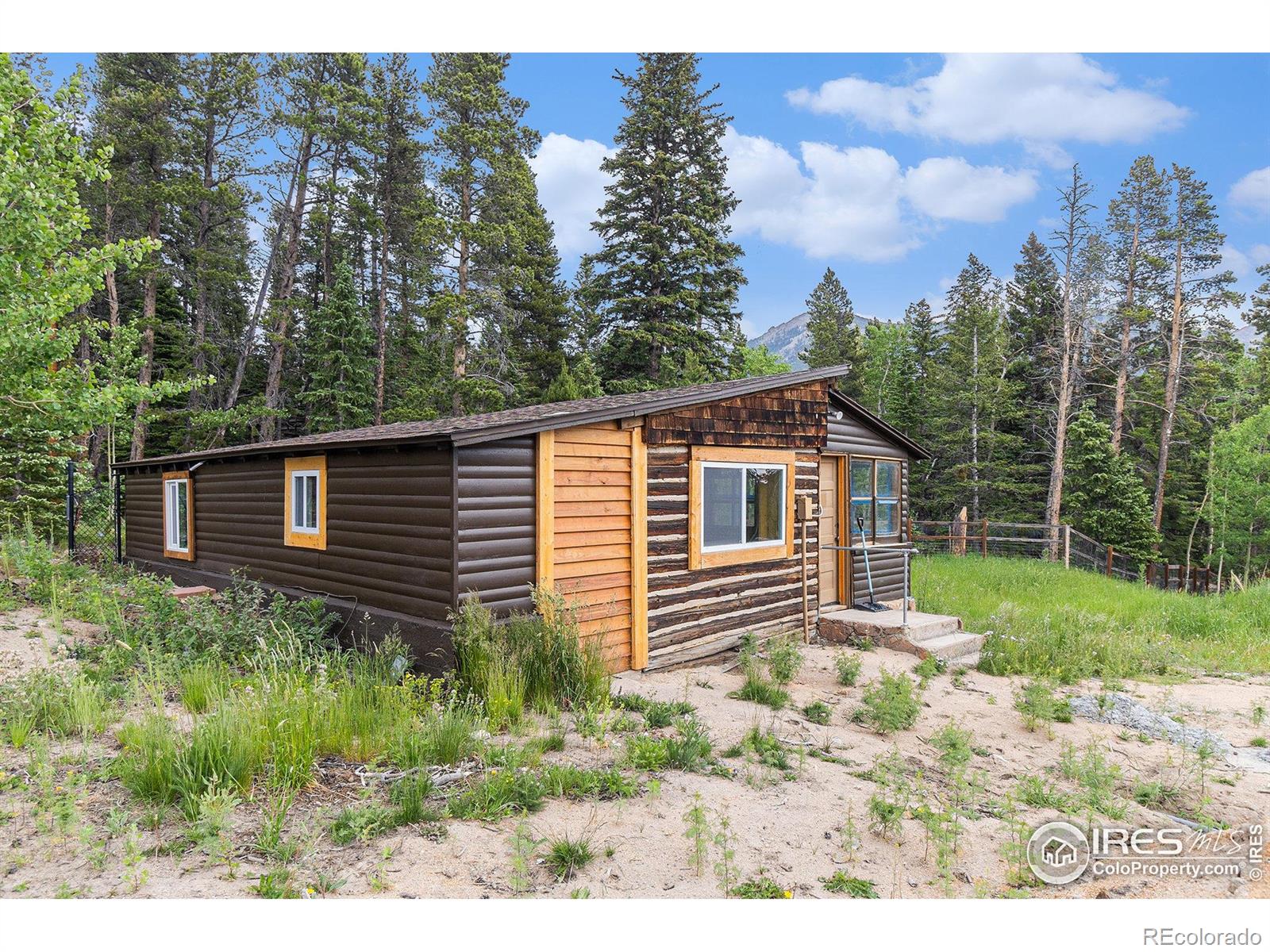 MLS Image #14 for 8451  peak to peak highway,allenspark, Colorado