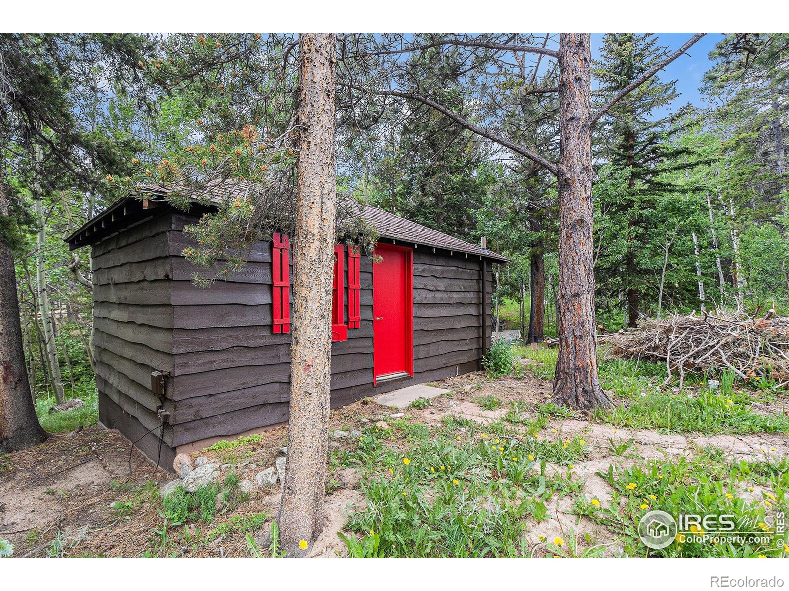 MLS Image #18 for 8451  peak to peak highway,allenspark, Colorado