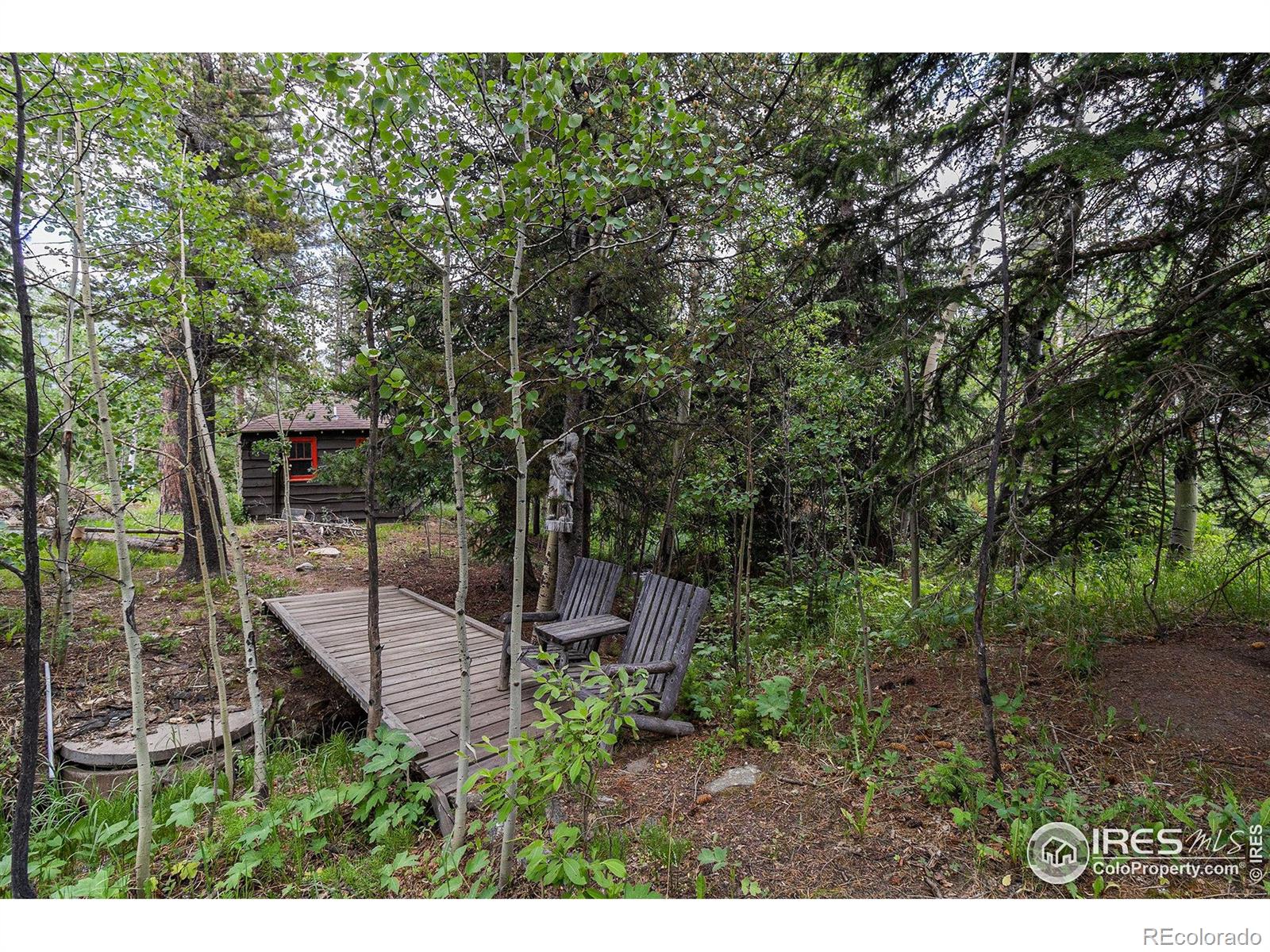 MLS Image #19 for 8451  peak to peak highway,allenspark, Colorado