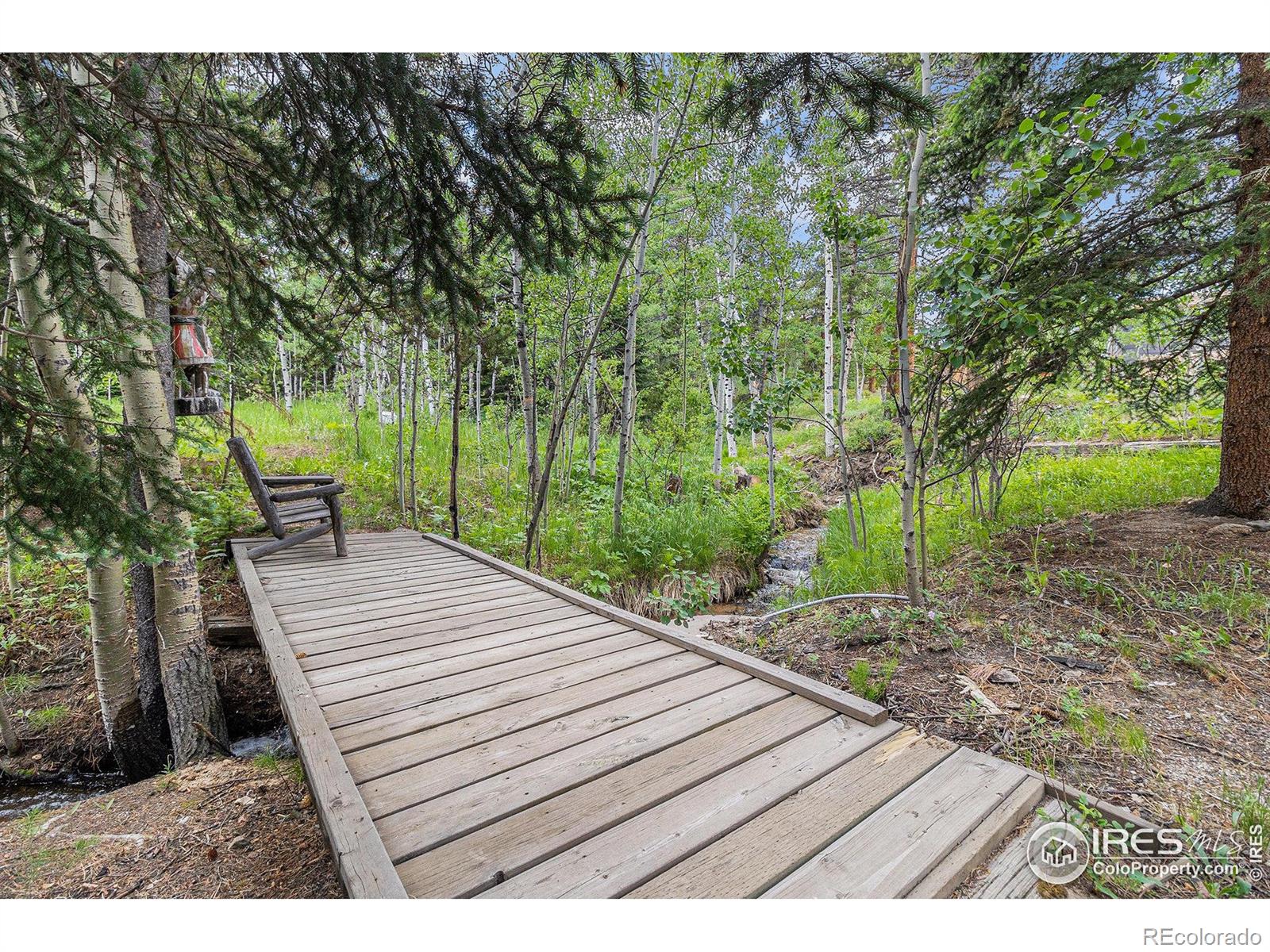 MLS Image #20 for 8451  peak to peak highway,allenspark, Colorado