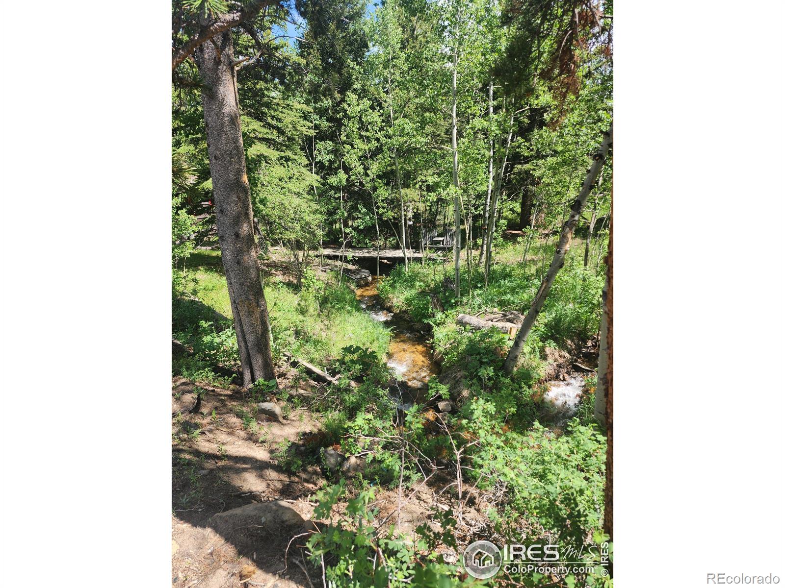 MLS Image #21 for 8451  peak to peak highway,allenspark, Colorado