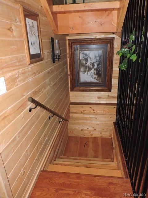 MLS Image #29 for 2137  riccardo lane,fort garland, Colorado
