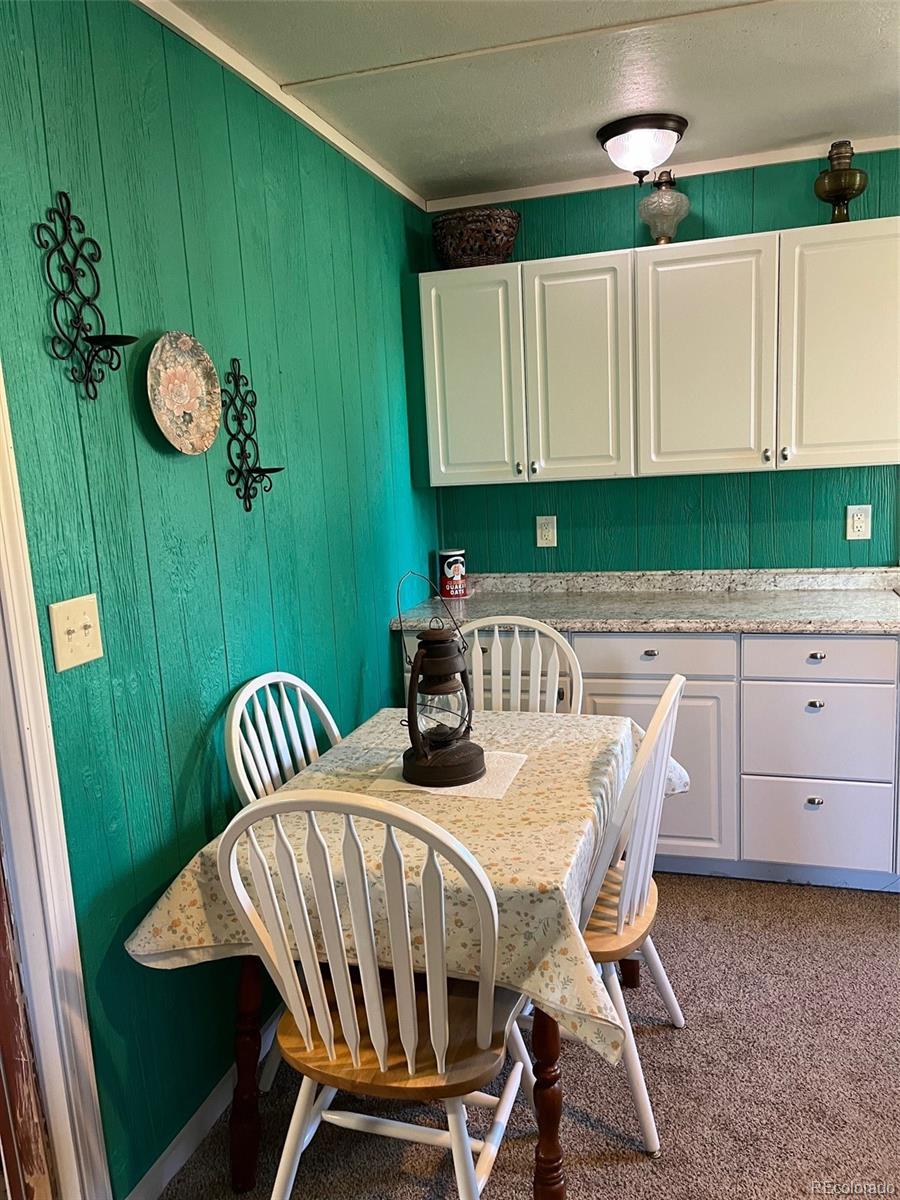 MLS Image #42 for 2137  riccardo lane,fort garland, Colorado