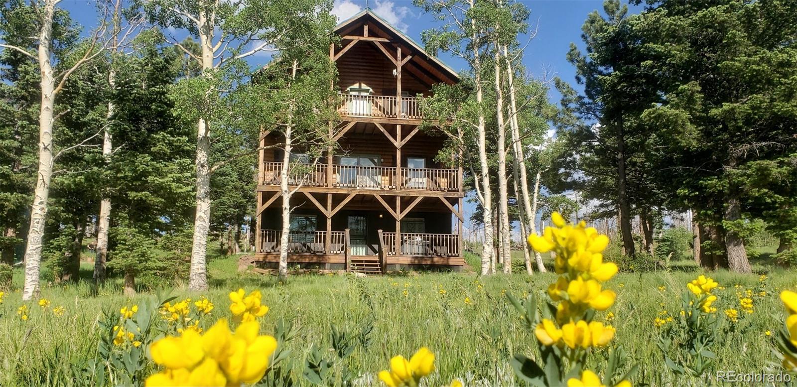MLS Image #49 for 2137  riccardo lane,fort garland, Colorado