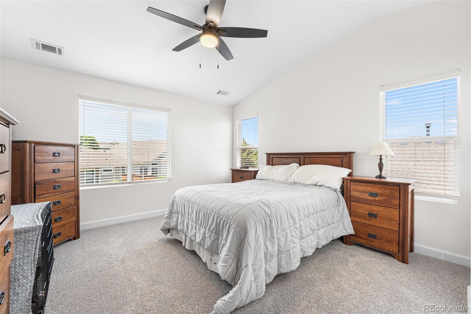 MLS Image #18 for 11853  trail view lane,parker, Colorado