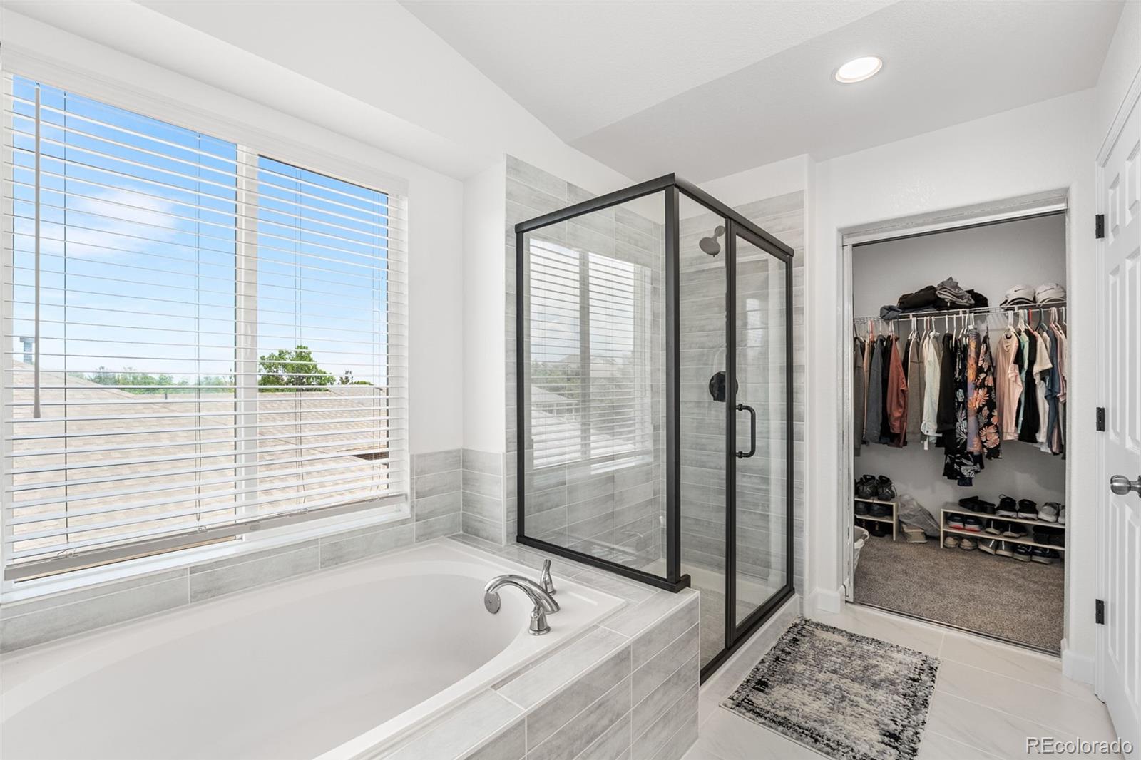 MLS Image #19 for 11853  trail view lane,parker, Colorado