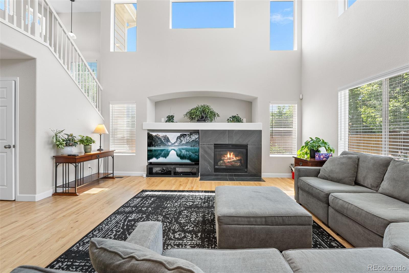 MLS Image #6 for 11853  trail view lane,parker, Colorado