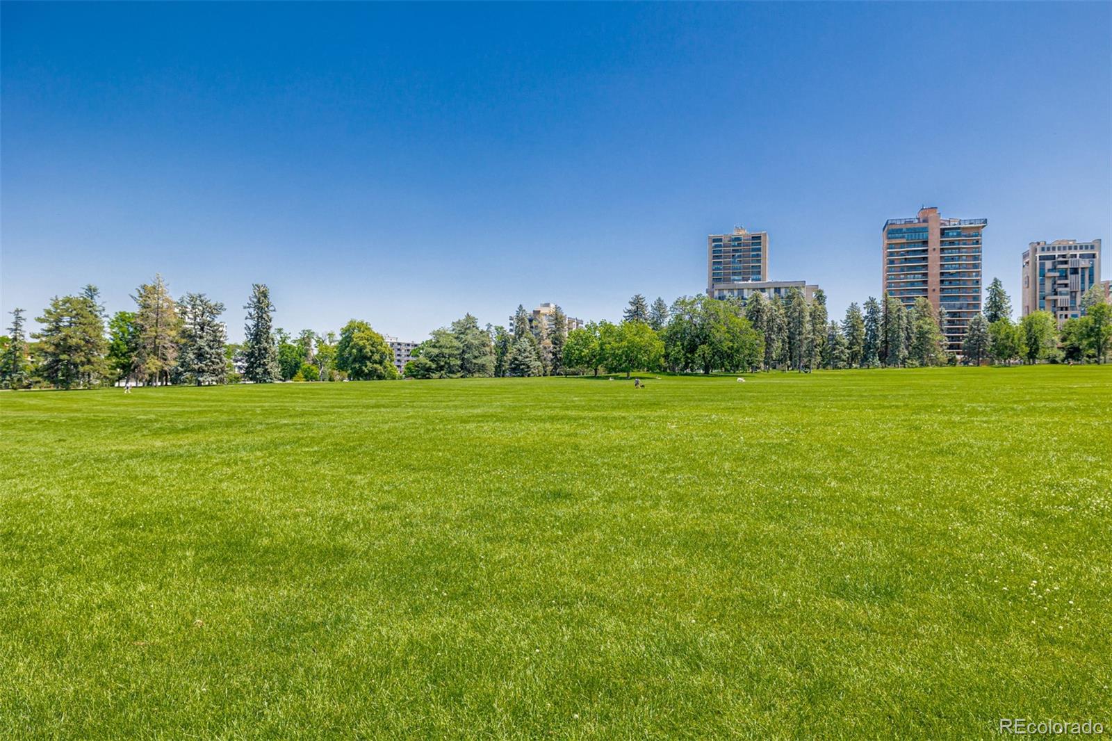 MLS Image #27 for 1390 n emerson street 101,denver, Colorado