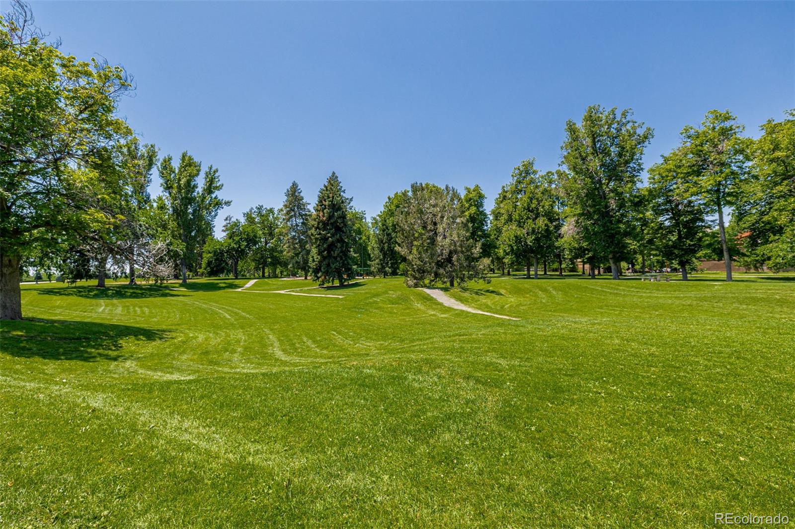 MLS Image #28 for 1390 n emerson street 101,denver, Colorado