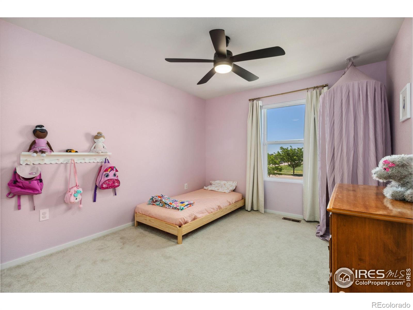 MLS Image #24 for 3775  ginkgo street,wellington, Colorado