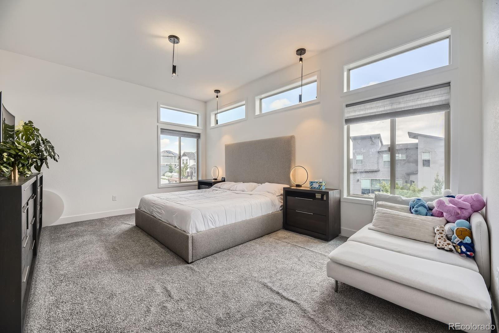 MLS Image #10 for 9682  bennett peak street,littleton, Colorado