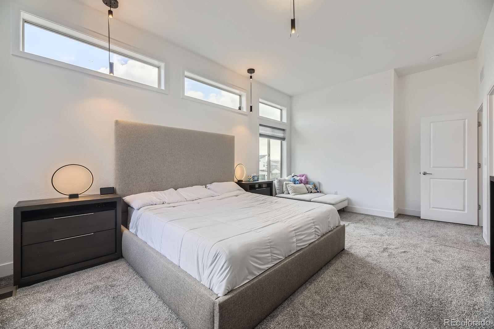 MLS Image #11 for 9682  bennett peak street,littleton, Colorado
