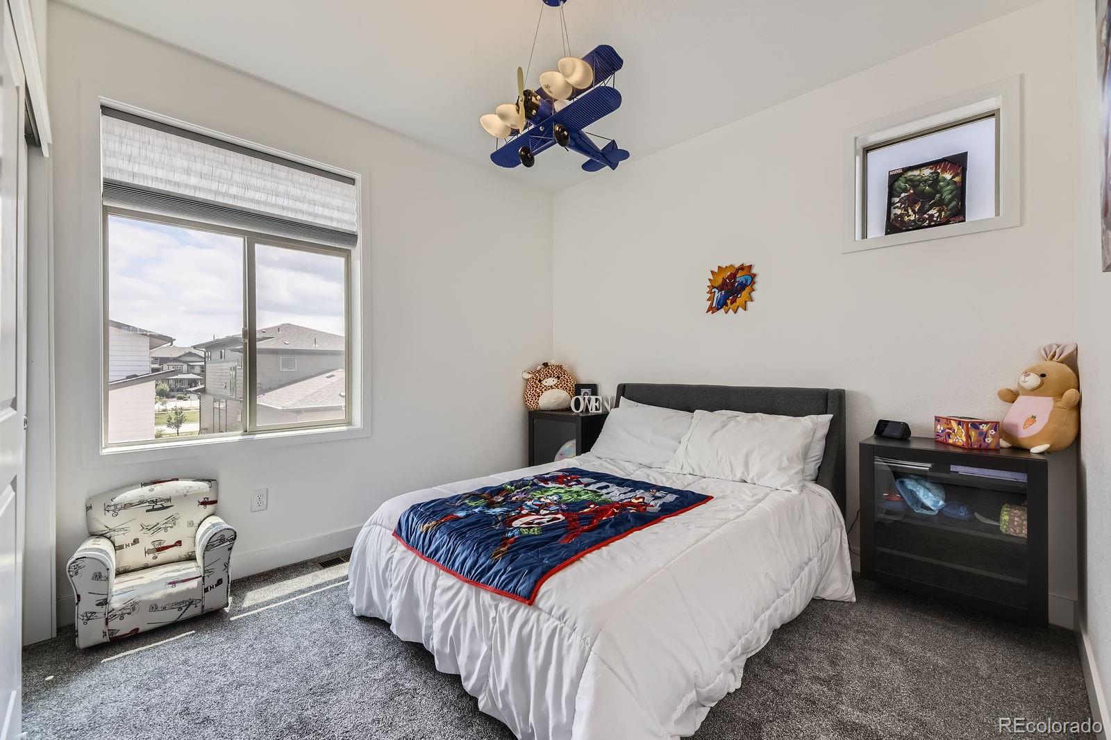 MLS Image #15 for 9682  bennett peak street,littleton, Colorado