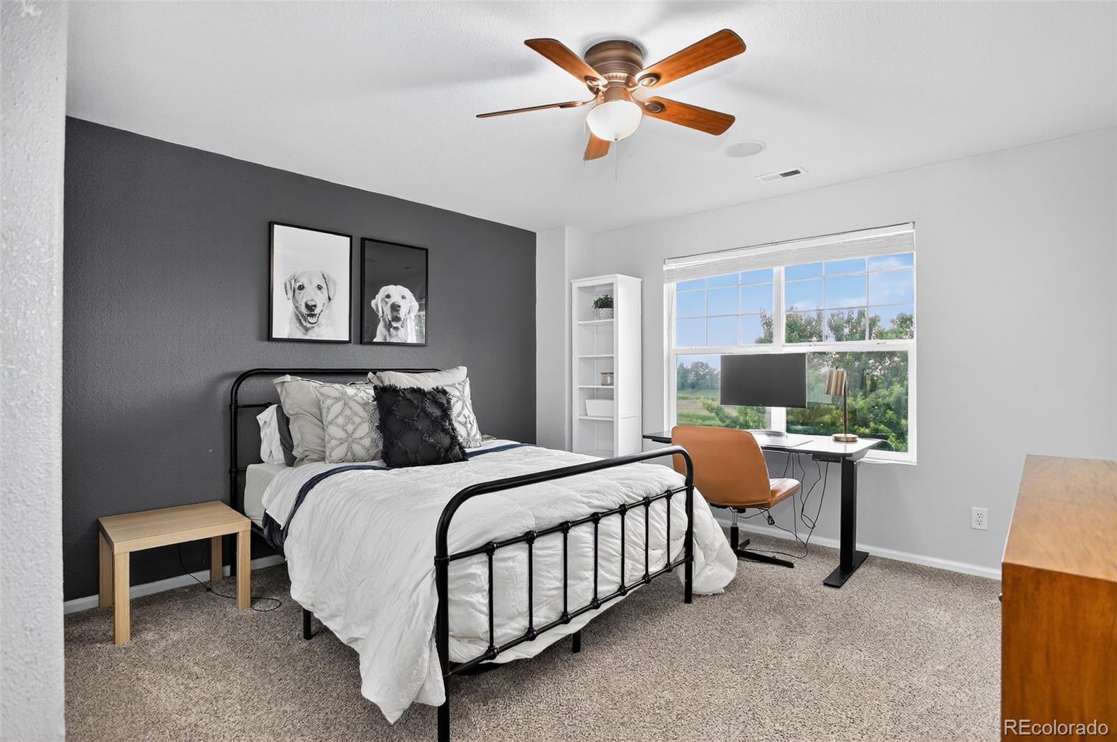 MLS Image #20 for 425  peabody street,castle rock, Colorado