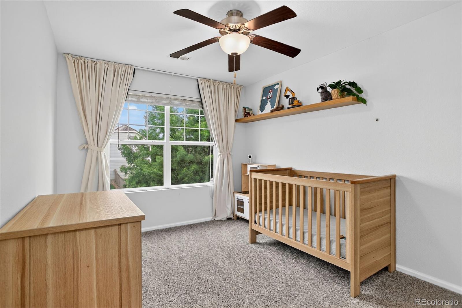 MLS Image #22 for 425  peabody street,castle rock, Colorado