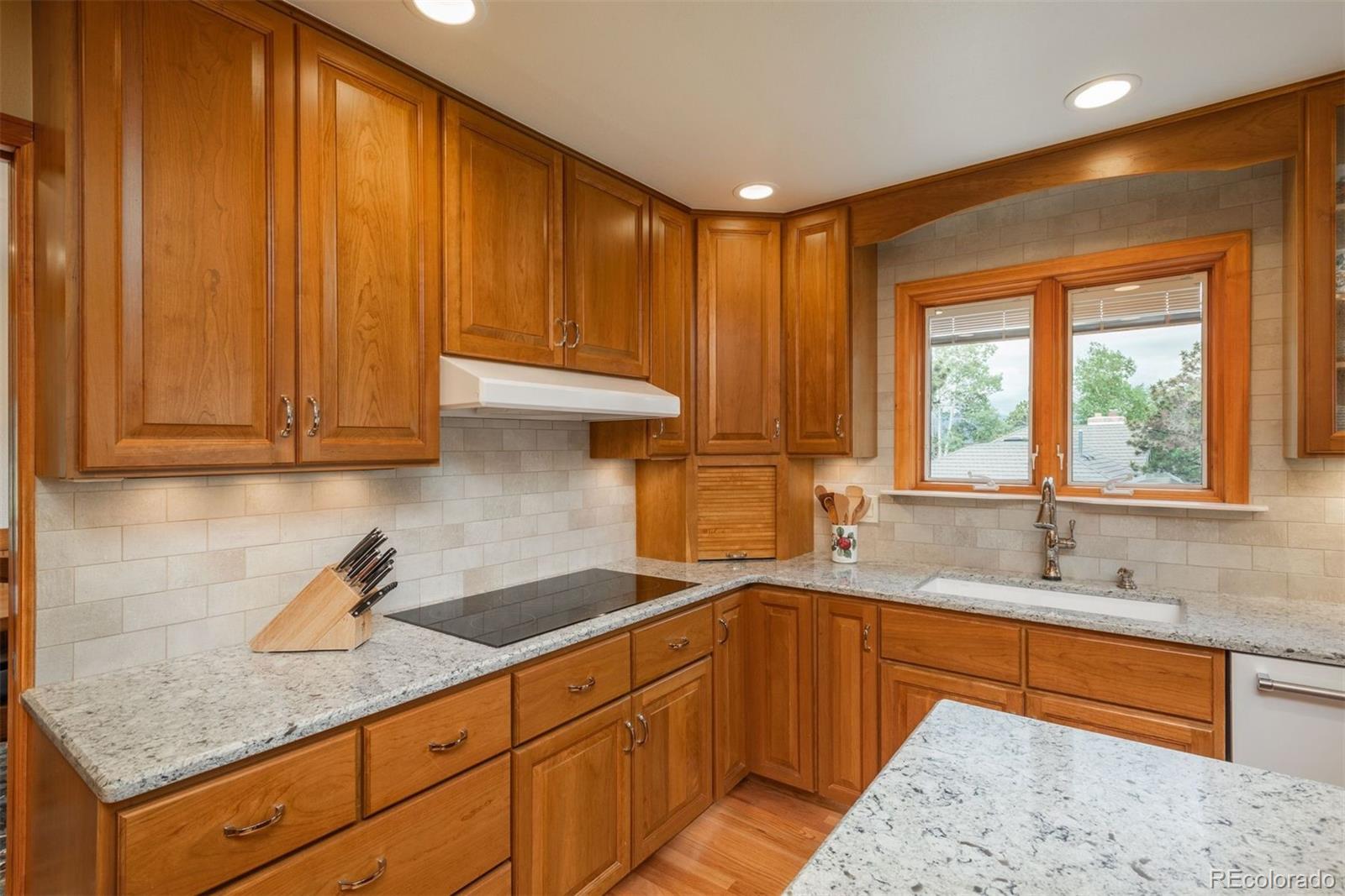 MLS Image #11 for 23843  shooting star lane,golden, Colorado