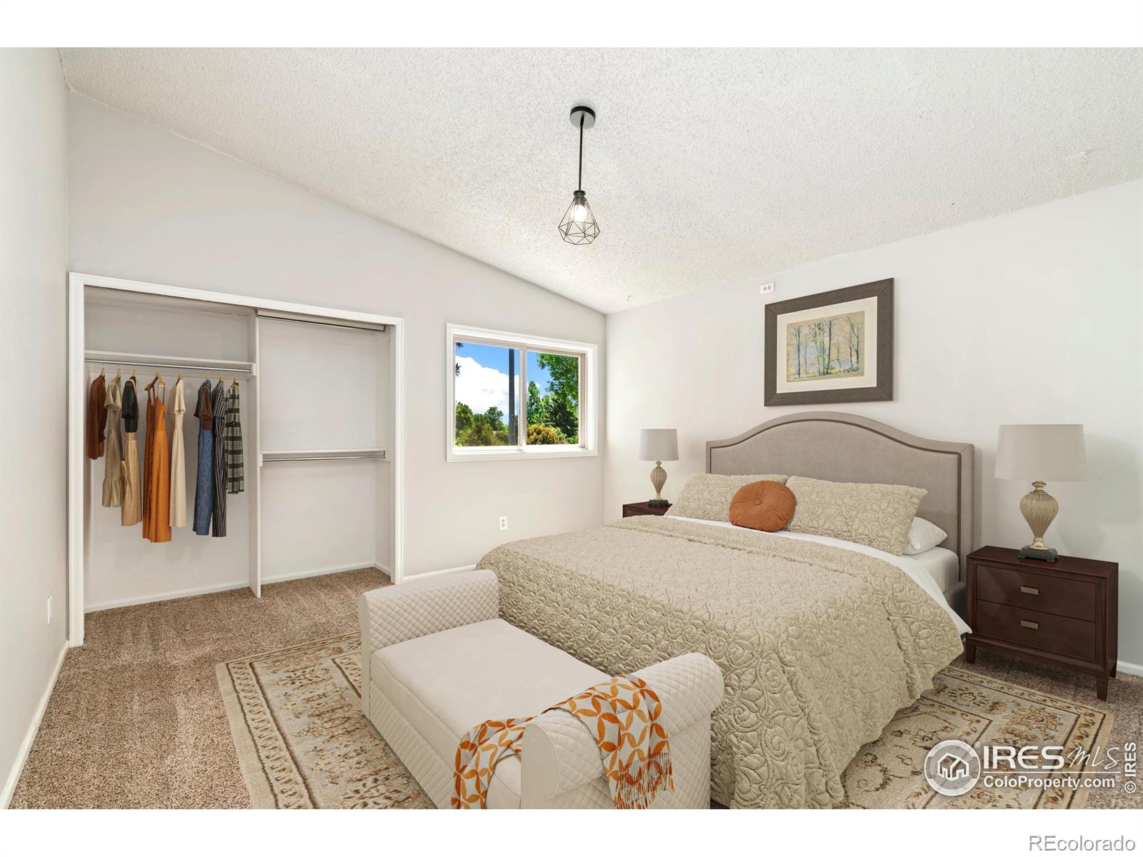 MLS Image #15 for 3012  anchor way,fort collins, Colorado
