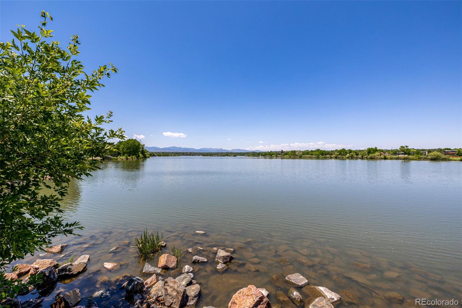 MLS Image #29 for 1495  vrain street 110,denver, Colorado