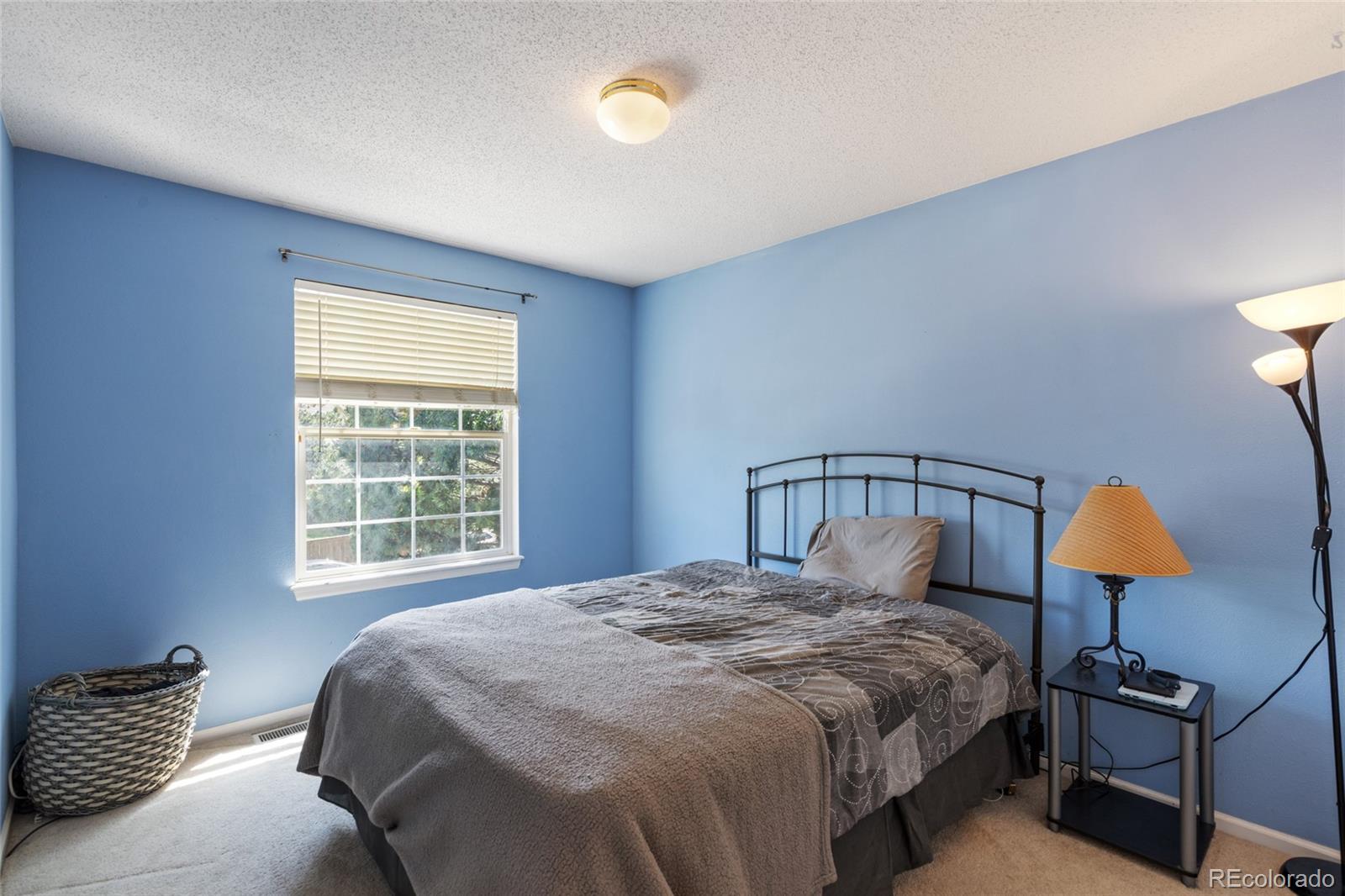 MLS Image #14 for 10295  ravenswood lane,highlands ranch, Colorado