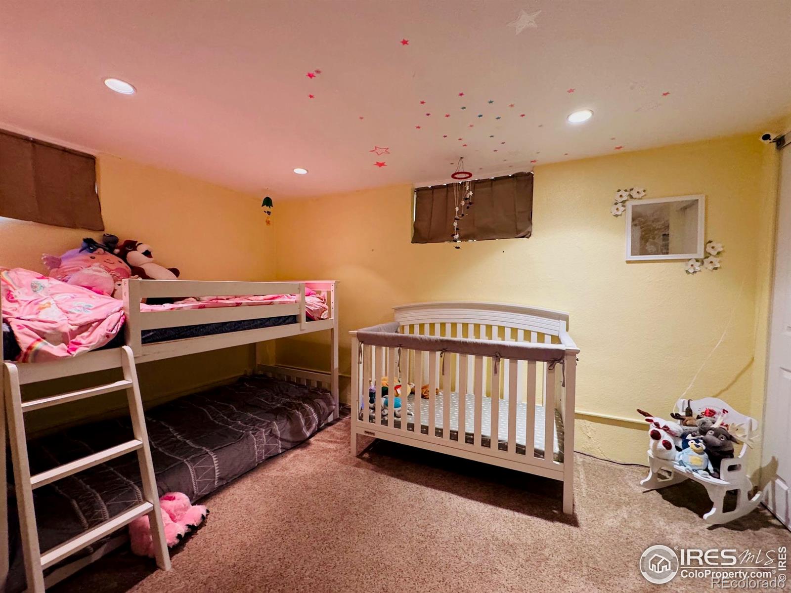 MLS Image #20 for 432  lafever street,walden, Colorado