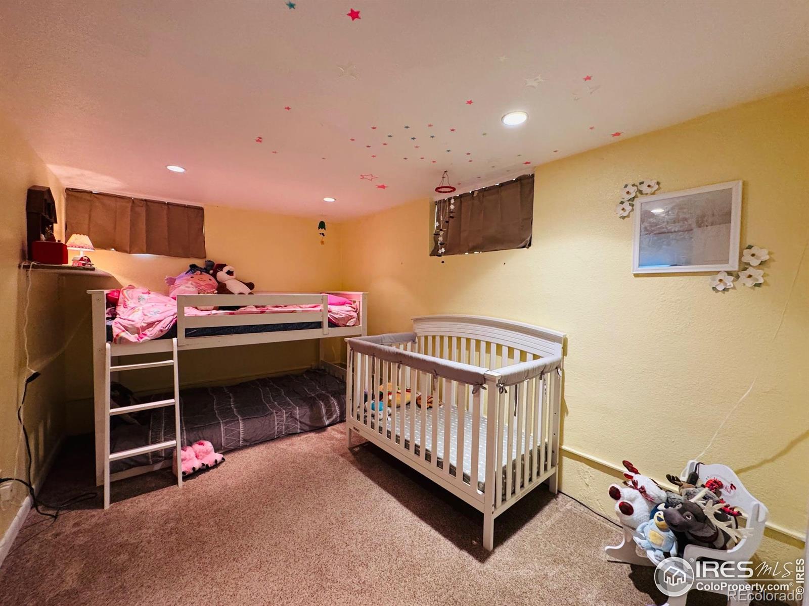 MLS Image #21 for 432  lafever street,walden, Colorado